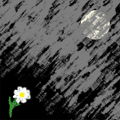  (120x120, 91Kb)