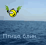  (92x90, 7Kb)