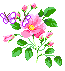  (65x71, 13Kb)