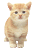  (66x100, 8Kb)