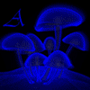 (100x100, 23Kb)