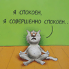  (100x100, 8Kb)