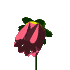  (70x70, 5Kb)