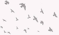 ec7cfa8dbce8 (200x119, 32Kb)