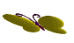 butterfly13 (84x49, 6Kb)