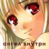   (100x100, 29Kb)