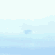  (80x80, 16Kb)