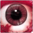  (110x110, 10Kb)