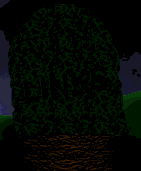  (141x171, 62Kb)