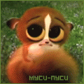  (120x120, 10Kb)