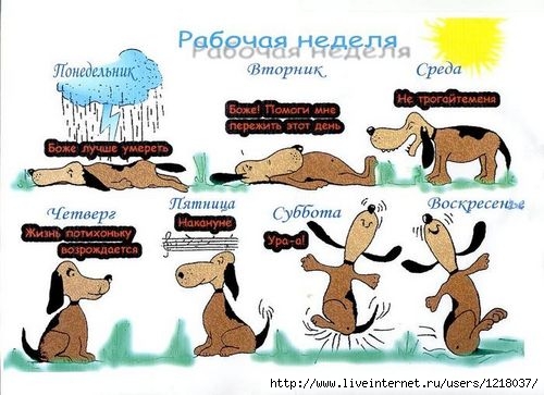 16664357_5376488_4991857_rABRCHAYA_NEDEL