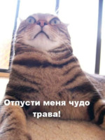  (150x200, 12Kb)