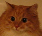  (150x129, 5Kb)