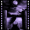  (100x100, 38Kb)
