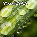  (150x150, 33Kb)