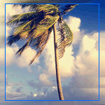  (150x150, 29Kb)