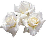 16685357_whiteroses (195x163, 31Kb)