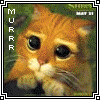  (100x100, 12Kb)