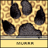  (100x100, 6Kb)