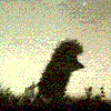 1074558_2233695 (100x100, 20Kb)