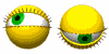  (100x50, 14Kb)