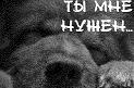  (123x81, 3Kb)