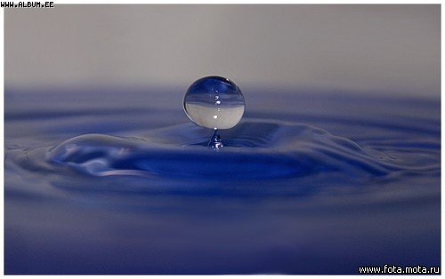 (500x314, 19Kb)