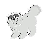  (192x168, 22Kb)