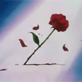  (120x120, 21Kb)