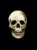 (120x160, 11Kb)