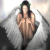  (100x100, 12Kb)