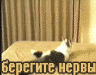  (96x75, 39Kb)