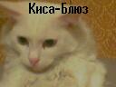  (128x96, 7Kb)