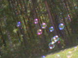  (160x120, 4Kb)