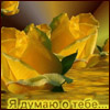  (100x100, 6Kb)