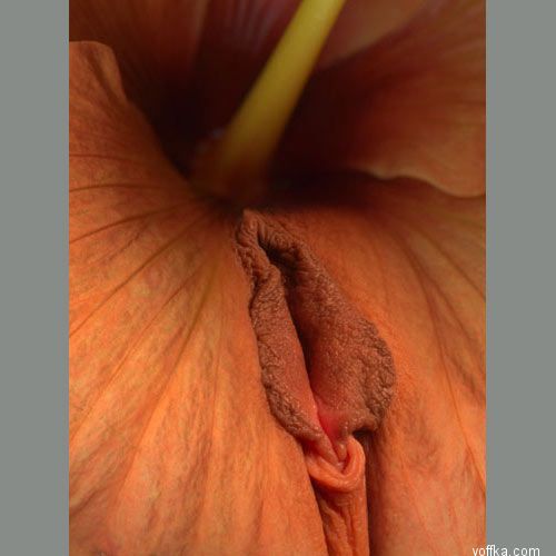 секс зеленоград мужская анальный секс