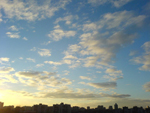  (150x113, 43Kb)