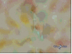  (101x76, 167Kb)