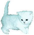  (120x124, 8Kb)