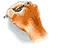  (60x48, 12Kb)