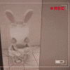  (100x100, 38Kb)