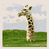  (100x100, 28Kb)
