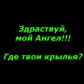 (120x120, 8Kb)