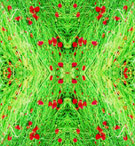  (135x146, 54Kb)