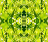  (160x140, 65Kb)
