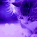  (120x120, 9Kb)