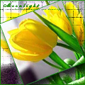  (120x120, 25Kb)