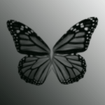  (150x150, 14Kb)