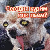  (176x176, 9Kb)