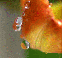 (124x117, 154Kb)